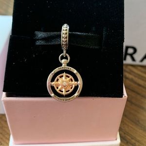 Rare Pandora Rose 2020 Club Charm